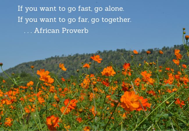 Go fast alone. Go far together. African proverb.