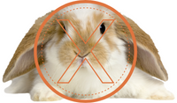 Avoid online search rabbit holes