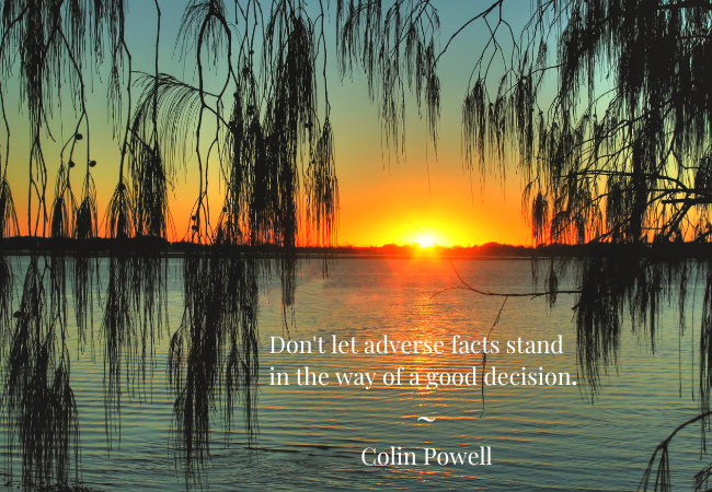 Don't let adverse facts stand in the way of a good decision - Colin Powell quote.