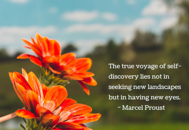 The true voyage of self-discovery lies not in seeking new landscapes but in having new eyes - Marcel Proust quote.