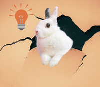 Avoid online search rabbit holes